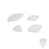2019LP05A