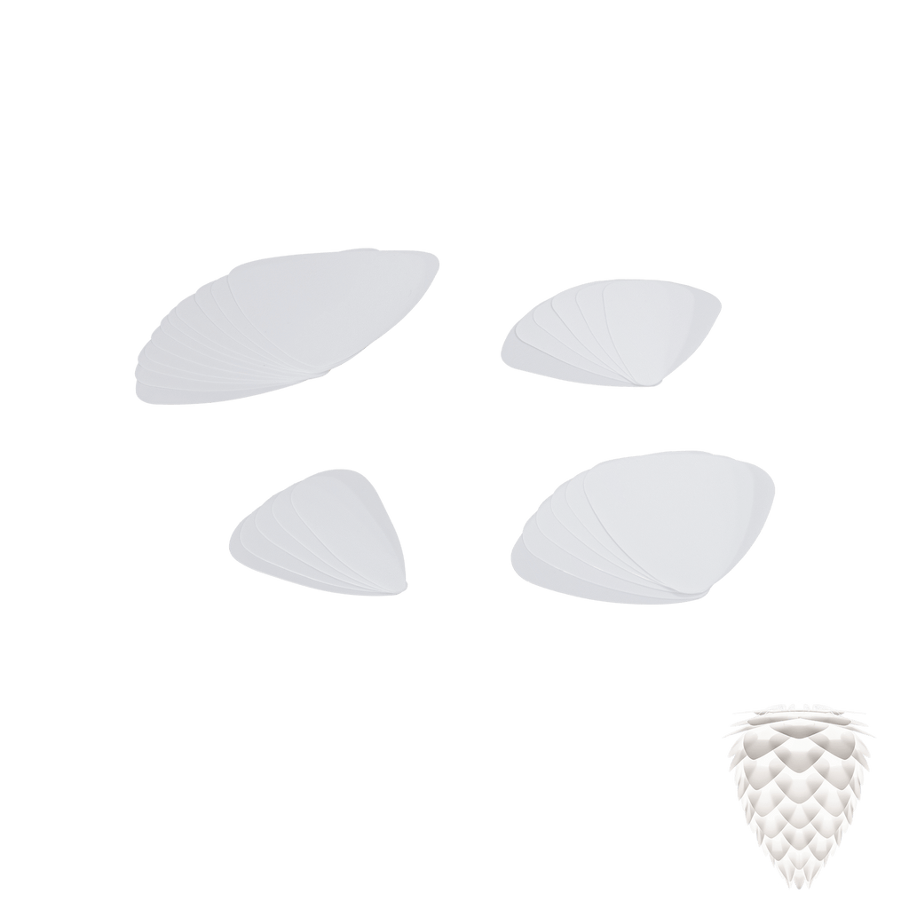 2019LP05A