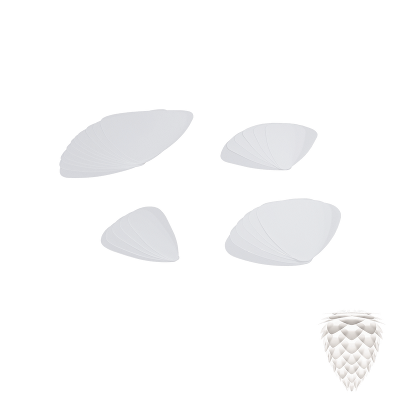 2019LP05A